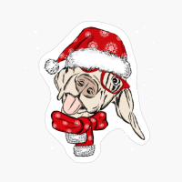 Cute Dog With Christmas Hat - A Funny Xmas Gift For A Dog Lover