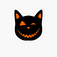 Jack O Kitty Halloween Cat