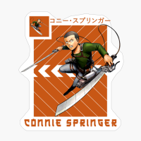 Connie Springer