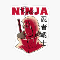 Copy Of Ninja Fighter, White Version.