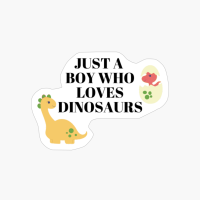 Just A Boy Who Loves Dinosaurs - Boy Dinosaur Lover