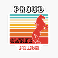 Punch Horse Breed Proud Owner
