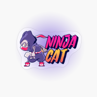 Ninja Cat