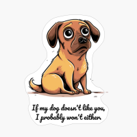 Dachshund: "If My Dog Doesnt Like You, I Probably Wont Either."
