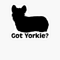 Got Yorkie?