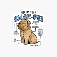 ANATOMY OF A SHARPEI DOG