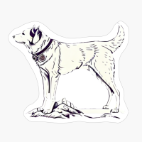 White Alaskan Dog Drawing, Dog Lovers