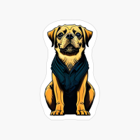 Yellow Adult Dog With Green Vest, Sitting Down, Dog Lovers