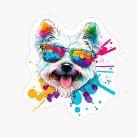 Colorful Maltese Dog
