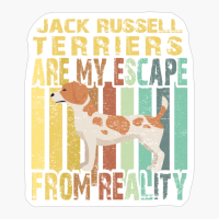 Jack Russell Terriers Are My Escape From Reality