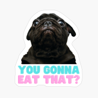Pug You Gonna Eat That??