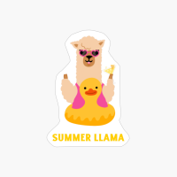 Summer Llama