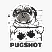 Funny Pug Shot Illustration