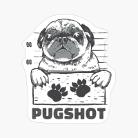 Pugshot Pug Mug Shot