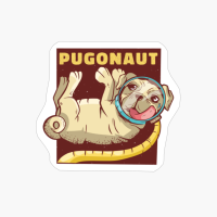 Pug Astronaut