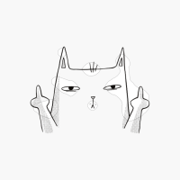 Funny Rude Middle Finger Cat