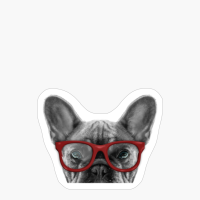 Peeking French Bulldog In Red Glasses - Funny