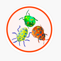 Beetle Illustration, Pattern, Green, Yellow, Orange, Pink, Purple, Blue