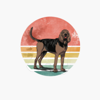 Vintage Bloodhound Dog