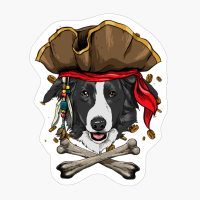 Border Collie Pirate Dog Halloween Jolly Roger Gift