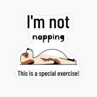 Special Exercise - Napping Dog