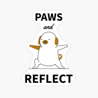 Paws And Reflect