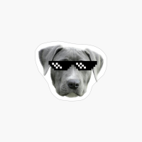 Funny Thug Life Weimaraner Dog Meme