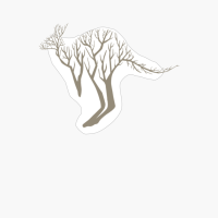 KANGAROO TREE