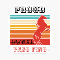 Paso Fino Horse Proud Owner