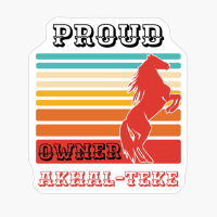 Akhal-Teke Horse Breed Proud Owner