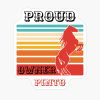 Pinto Horse Breed Proud Owner