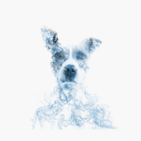 Doggo In The Smoke // Bilcos Designs