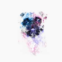 Pug In The Smoke For Pug Dog Lovers
