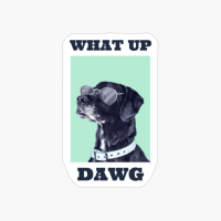 What Up DAWG?