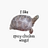I Like Spicy Chicken Wings!