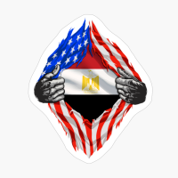 Super Egyptian Heritage Egypt Roots USA Flag Gift