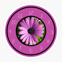 Daisy Rudbeckia Echinacea Purpurea Clock With Numbers