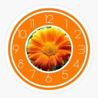 Orange Daisy Clock With Numbers