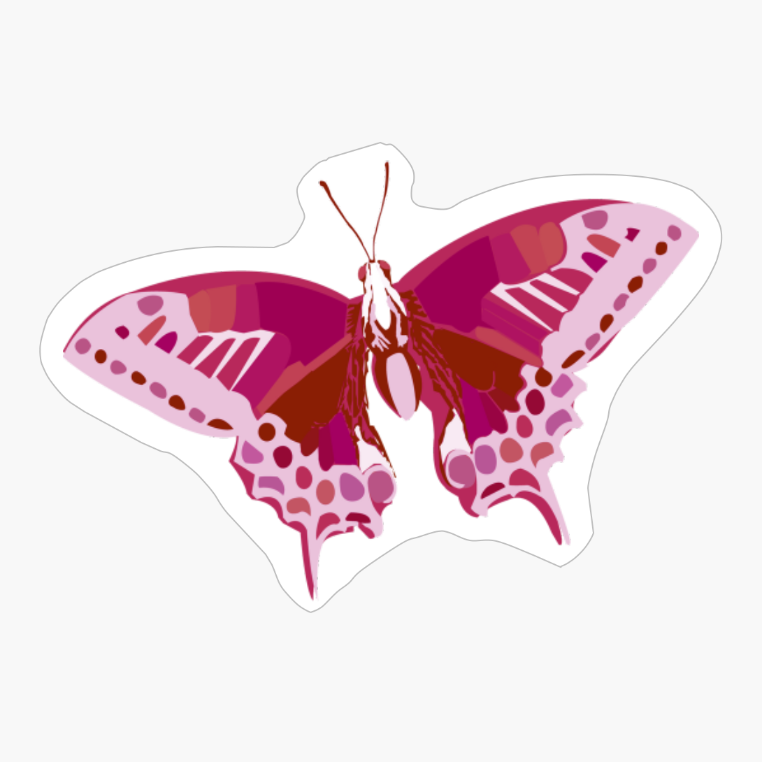 Lesbian Pride Butterfly Design