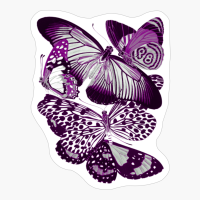 Asexual Pride Vintage Cluster Of Butterflies Art