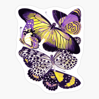 Nonbinary Pride Vintage Cluster Of Butterflies Art