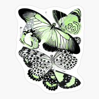 Agender Pride Vintage Cluster Of Butterflies Art