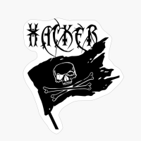 Hacker Flag With Skull