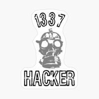 1337 "Elite" Hacker