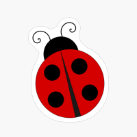 Black And Red Ladybug