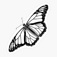 Rotated Beautiful Black Butterfly