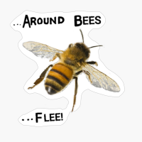 Around Bees Flee, Around Bees, Flee, Bees, Bee, Bee Meme, Bee