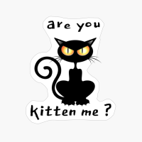 Are You Kitten Me ?