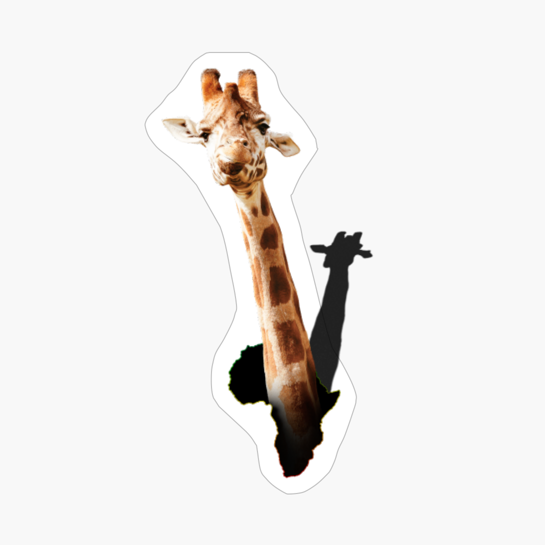 Funny Giraffe Popping Out Of Africa