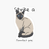Strike A Purrrfect Pose